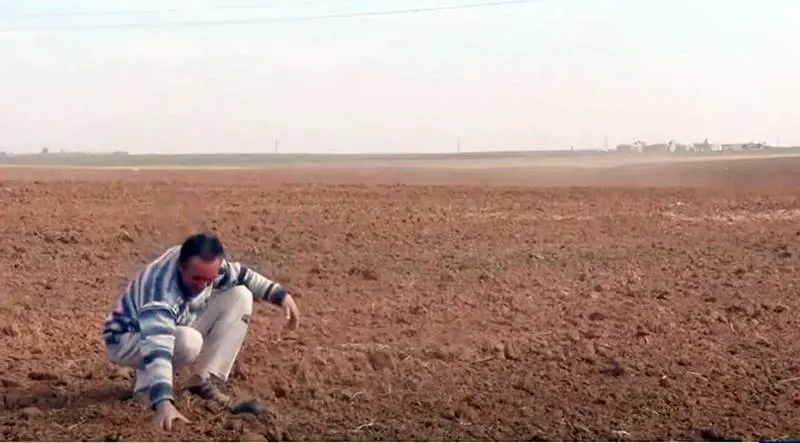 Li Rojavayê Kurdistanê metirsiya hişkesaliyê çêbû: Baran nebare wê ziyan pir zêde be