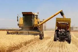 Rêveberiya Xweser a Rojava tovên genim ên erzan li cotkaran belav kir