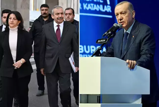 Heyeta DEM Parti wê seredana AKP, CHP û partiyên din yên di meclisê de bike