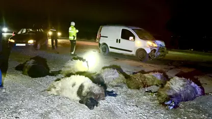 Li bajarê Meletiyê ereba bazirganiyê li nav keriya miyan xist