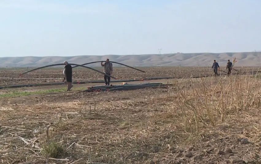 350 hezar donim erdên Kurd û Tirkmenan li wan tê vegerandin