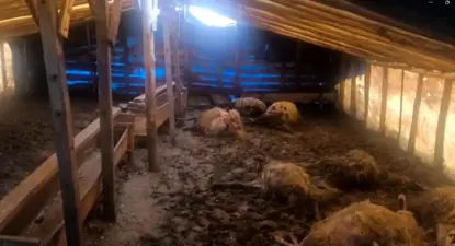 Li Ezirganê gur ketin axwurê, 10 miyan kuştin û 10 miyan birîndar kirin