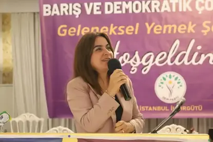 Koçyigit: "Meseleya Kurd ne bi tundûtûjiyê, bi diyalogê çareser dibe"