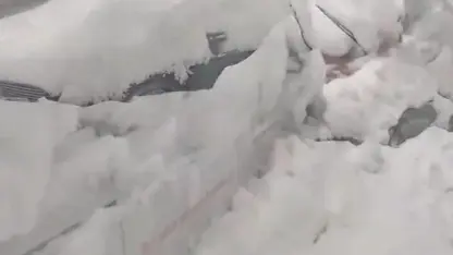 بێ سەروشوێن بوونی ٥ هاووڵاتی خەڵکی گوندی میراوای شنۆ لە خاڵی سفری سنووری  