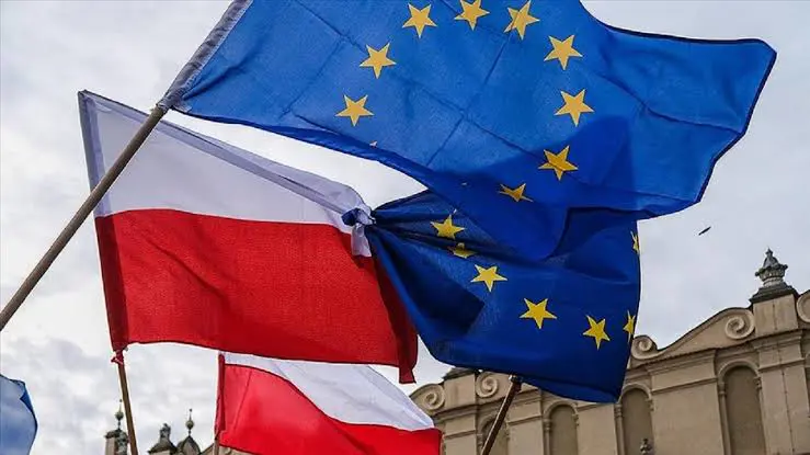 Polonya, Macar büyükelçiyi dönem baskanligi törenine davet etmedi