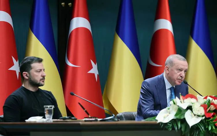 Erdogan ile Zelenskiy'den ortak açiklama