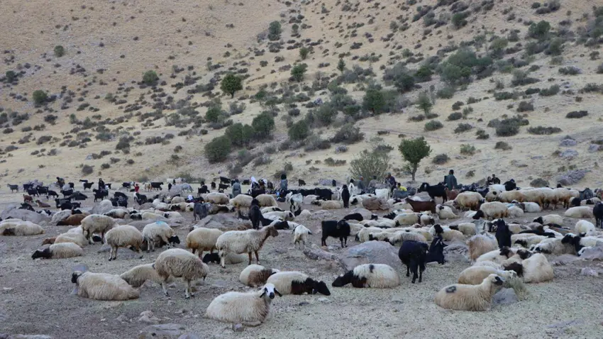 Tûzxûrmatû | Di navbera DAIS û sivanan de ser derket; Pêsmerge çûn alîkariyê