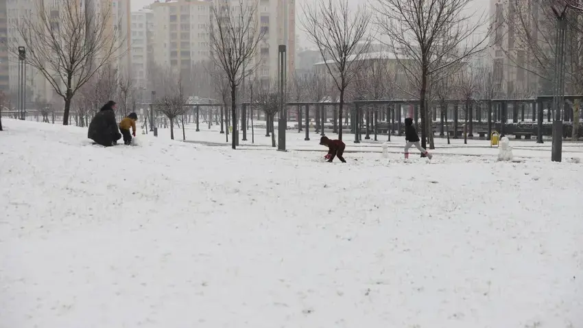 Diyarbekir spî bû: Berfa ku dihat payîn bibare dest pê kir