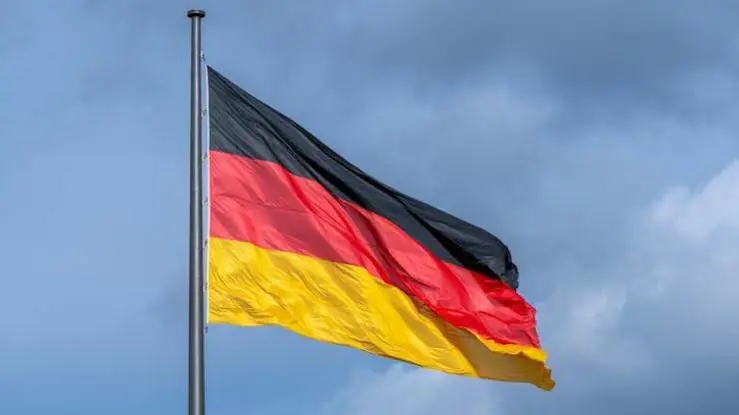 Almanya'daki Newroz kutlamasinda Rojava'ya destek mesaji