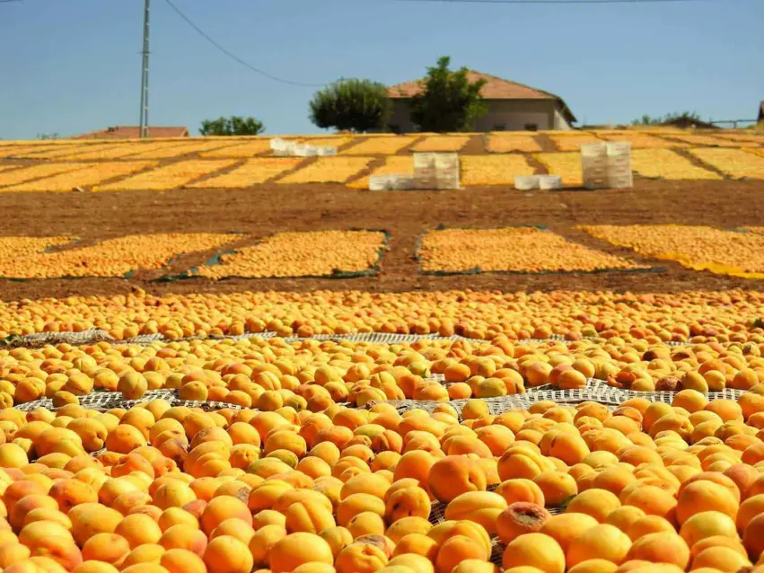 %80ê yê dinyayê îsal bê mişmiş dimîne