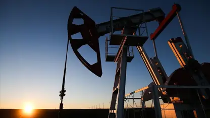 OPEC: Daxwaza petrolê di 25 salên bê de wê zêde bibe