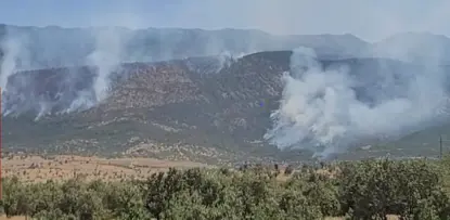 Li Amêdiyê ji ber topbarana Tirkiyeyê agir bi zevî û daristanê ket