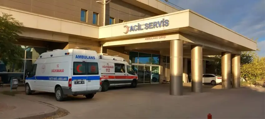 Zarokê 6 salî bi demançê leyîst û can da