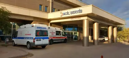 Zarokê 6 salî bi demançê leyîst û can da