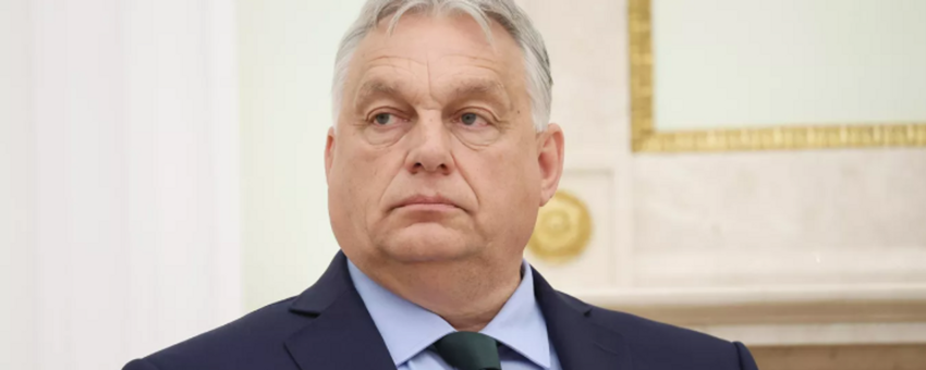 Orban: Ukrayna, AB'ye katılırsa her euro, forint ve zlotiyi emecek