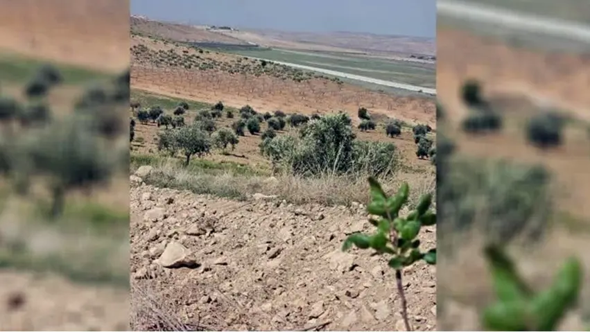 Cendermeyên Tirk cotkarên gundekî Kobanê gulebaran kir