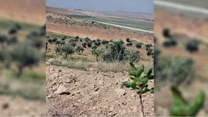 Cendermeyên Tirk cotkarên gundekî Kobanê gulebaran kir