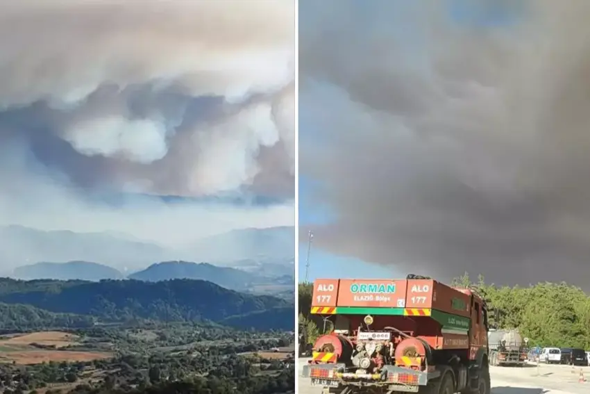Agirê daristanê giha navça Samandağı ya Hatayê