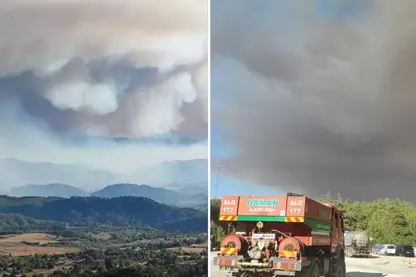 Agirê daristanê giha navça Samandağı ya Hatayê
