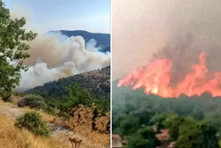 Li Tirkiyê agirê daristanan venamire: Agir bi sînorê Bursa-Balikesirê ket