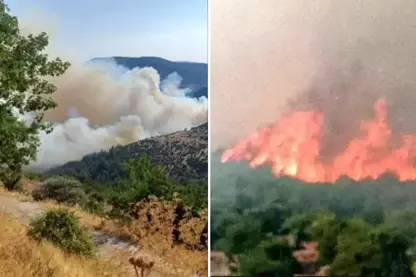 Li Tirkiyê agirê daristanan venamire: Agir bi sînorê Bursa-Balikesirê ket