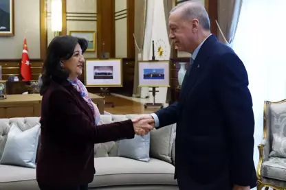 Pervin Buldan gotinên Erdoğan zelal kir û nirxand