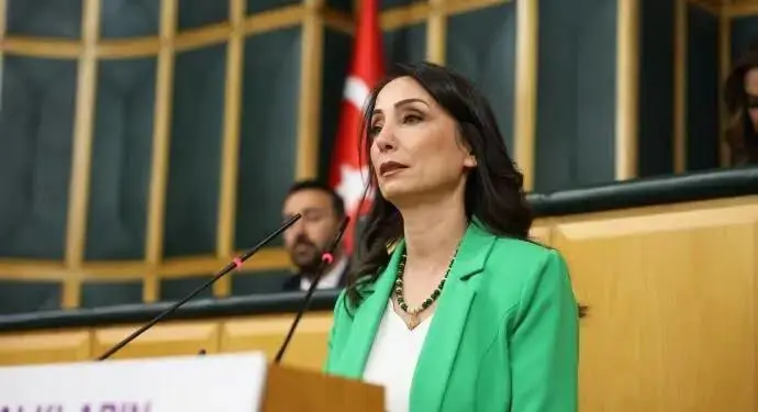 DEM Parti’den AKP-MHP ittifakı ve anayasa açıklaması