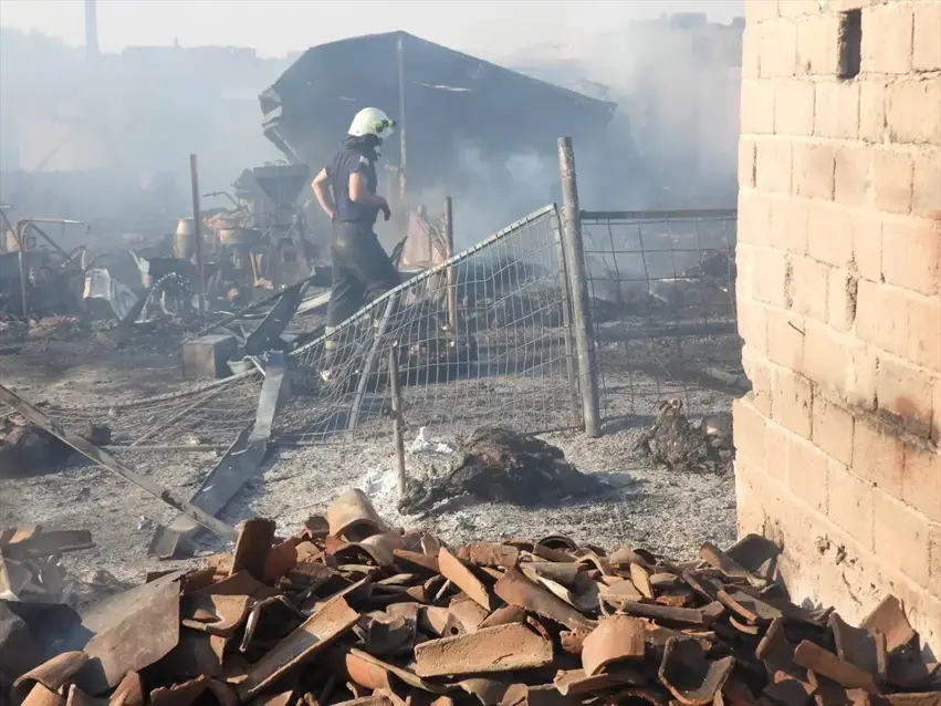 80 heywan di axwurê de di nav agir de şewitîn