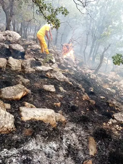 Li navça Licê ya Amedê vemirandina agirê daristanê dewam dike