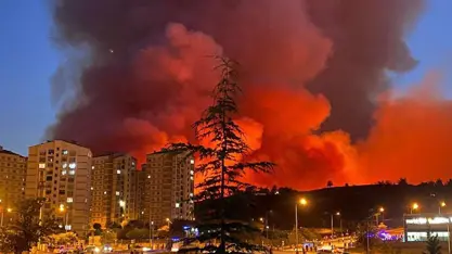 Bursa'da orman yangını: 480 hane ve 1765 kişi tahliye edildi