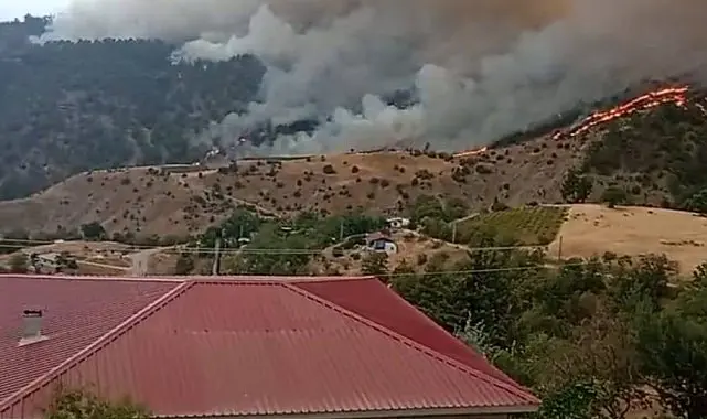 Li Maraşê agir bi daristanê ket: 3 xanî şewitîn