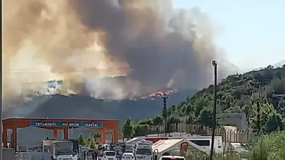 Şewata daristana Sûriyê avêt aliyê Tirkiyê jî