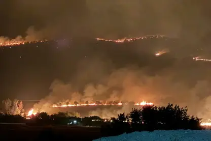 Ji bo ku şewata li Licê ji hewa ve bê vemirandin daxwaz hat kirin 