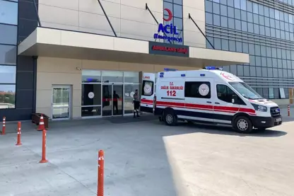 Jinekî dema şîr didot, ji makîna şîrdotinê elektrîk pêgirt û can da