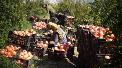 "١٠٠ھەزار تەن بەرھەمی ناوخۆ ھەناردەی ووڵاتانی دەرەوە کراوە"