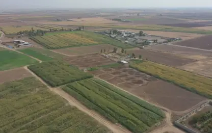 Kerkük'te Kürt ve Türkmenlere ait olan arazilerin sözleşmeleri iptal ediliyor