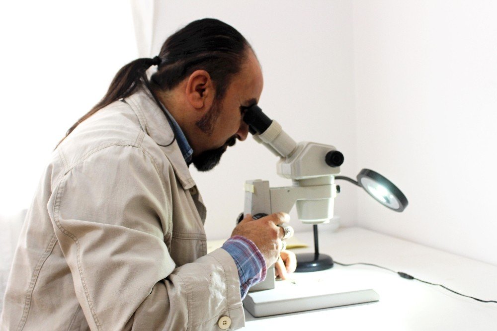 Li Bakûrê Kurdistanê cûreyeke nû ya nebatan hatiye kifs kirin