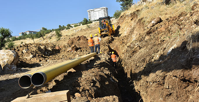 Sirnex heya dawiya salê dibe xwedî xazê