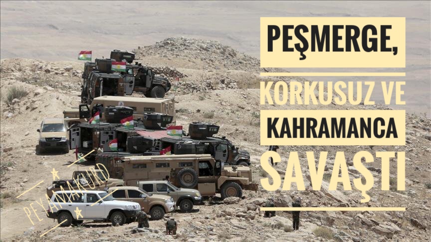 Koalisyon’dan Pesmerge’ye büyük övgüler...