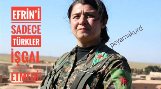 YPJ komutanindan Efrin ve rejim açiklamasi