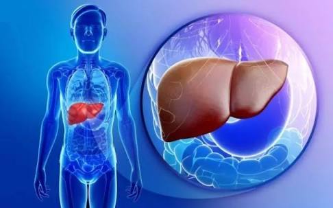 Bu belirtilere dikkat: Hepatit olabilirsiniz!