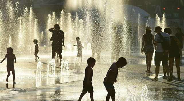 Jimara miriyan her diçe zêde dibe