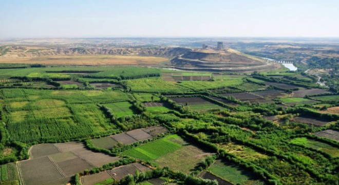 Biharê bacanên sor zivistanê silqok