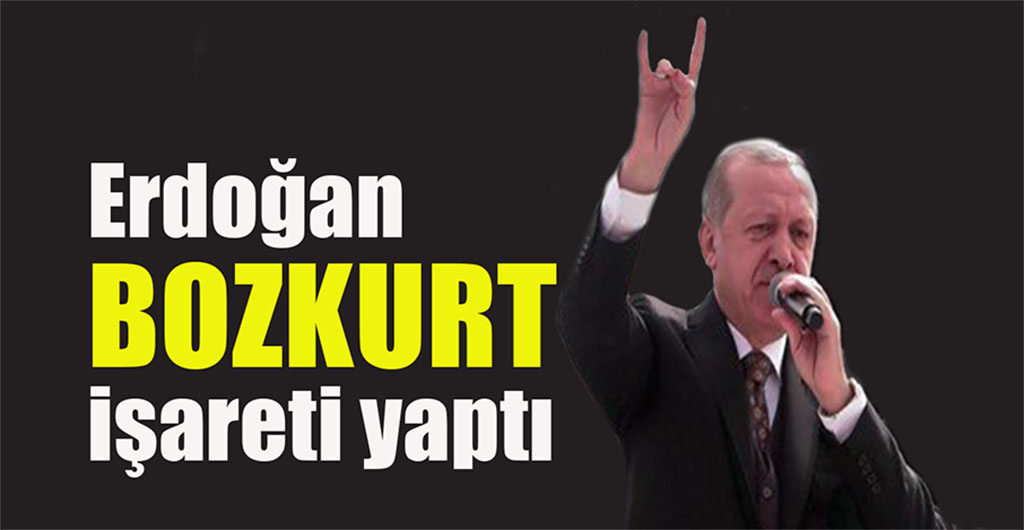 Erdogan, „Afrin’de su ana kadar 3195 ‚Terörist’ etkisiz hale getirildi“