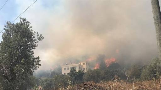 Sewata daristanê li rojhilatê Kurdistanê