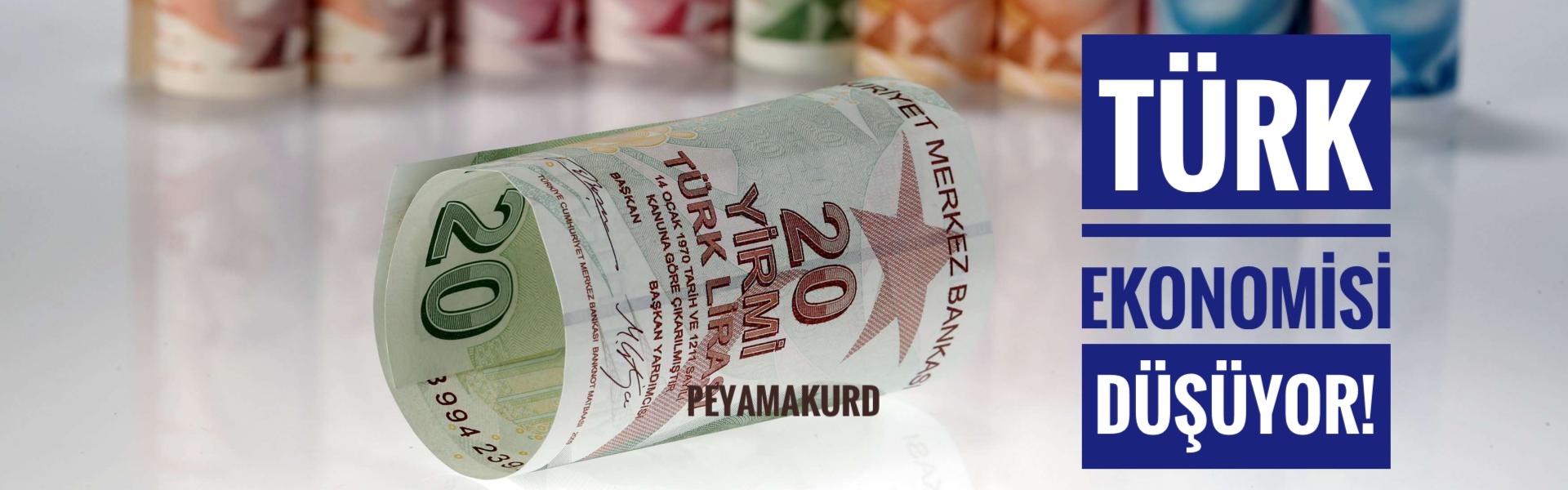 Nobel ödüllü ekonomist: Türkiye kendi kendini besleyen krizin içinde...