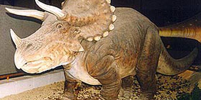 Meksika’da yeni bir dinozor türü kesfedildi