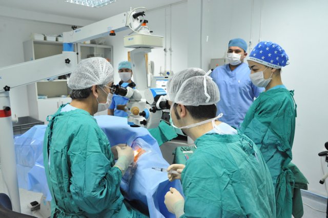 Yekem emeliyata transplantasyona penîs û testîsan hat kirin