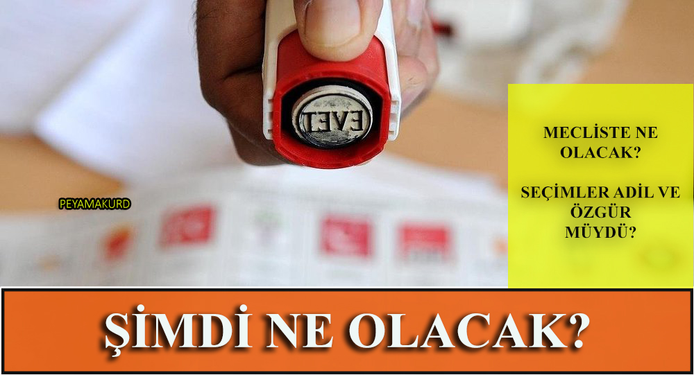 Guardian'dan 'Seçimde neler oldu?" Analizi: Özgürlük var miydi?