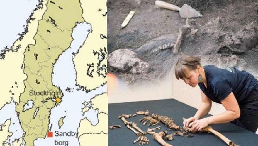 Isveç'te 5. Yüzyil’a ait katliam izleri bulundu